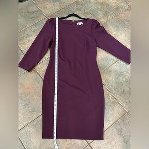 Calvin Klein Deep Burgundy Long Sleeve Dress